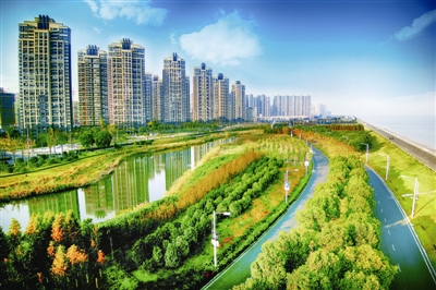 杭州沿江湿地公园图片图片